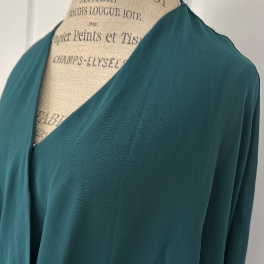 Naked Zebra brand Teal V-Neck Long Sleeve Blouse
